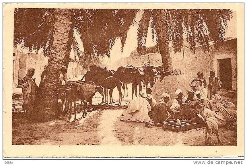 -ALGERIE - Caravane au repos - ( hussein Dey ) carte neuve TB