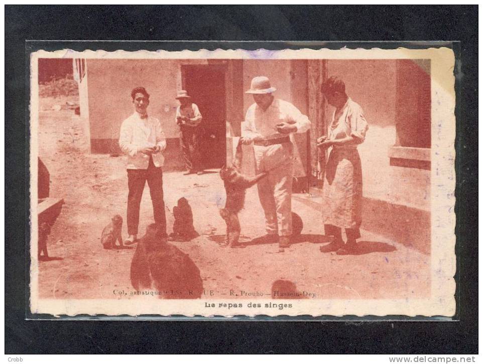 433 - HUSSEIN DEY  le repas des singes
