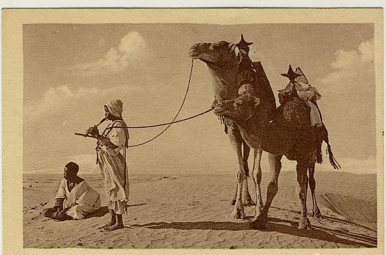 Photographe R. Prouho Hussein Dey Mehara Selles au pommeau Touareg Rhalaas