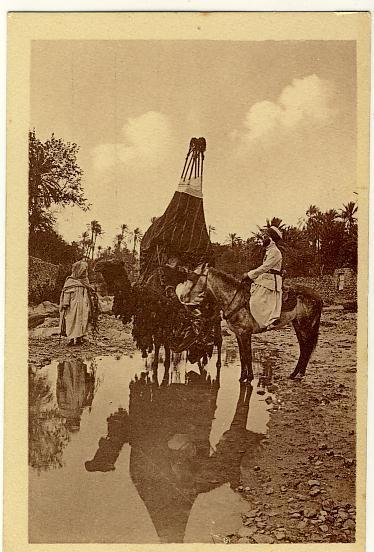 Photographe R. Prouho Hussein Dey Bassoud a la riviere dromadaire