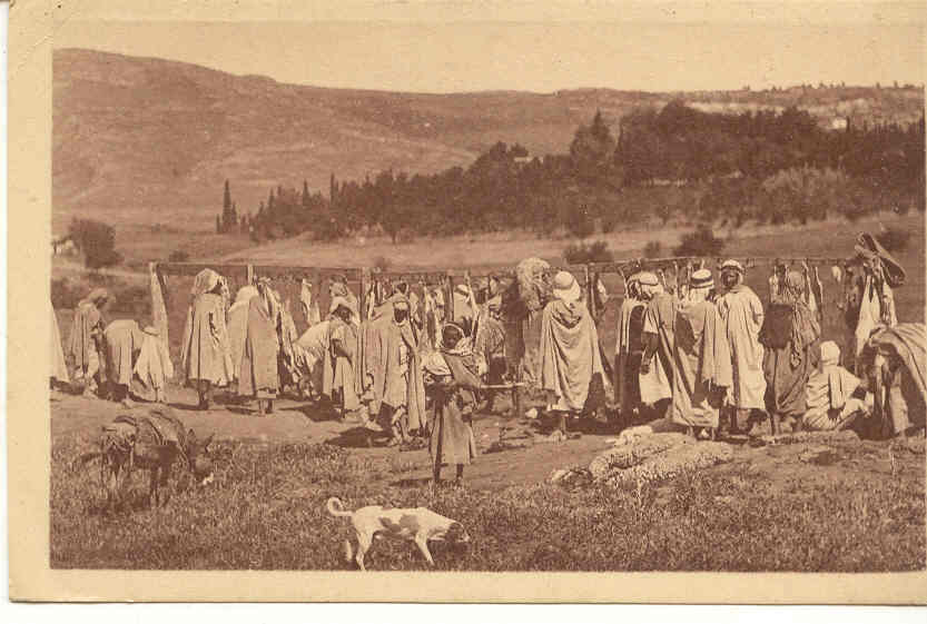 928. Algérie, Kabylie. Boucherie en plein air sur un marché. Prouho Hussein-dey.