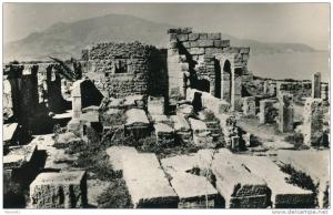 ALGERIE - TIPASA - La Basilique de Sainte Salsa et le Chenoua