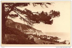 ALGERIE - CHENOUA - Vue de l'Est - SERIE A - N° 10