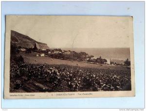 Carte postale Ancienne  CHENOUA PLAGE  Vue d´ensemble