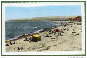 AFRIQUE. ALGERIE. CHENOUA. Vue sur La Plage. Carte Dentelée.