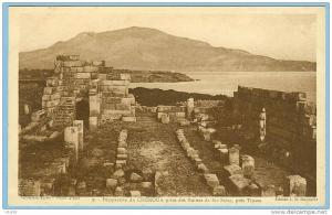 CARTE POSTALE 9 PERSPECTIVE DU CHENOUA PRISE DES RUINES DE STE SALSA PRES TIPASA