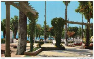 ARZEW, Algérie  le jardin public