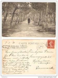 ALGERIA - ARZEW - La Pépiniére - posted to Denmark 1911 -