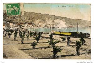 ARZEW - La Baie & Palmeraie - Train - Locomotive à vapeur - Photo colorisée - Ecrite & timbrée en 1911