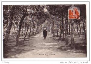 004  Arzew - La Pépinière