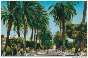 ARZEW - Route d'Oran