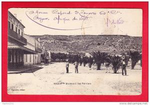 E-Algerie-233P143  ARZEW, boulevard des palmiers, cpa