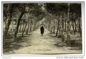 Arzew la pépinière