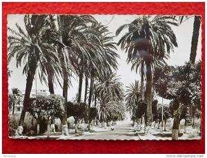 ARZEW LA ROUTE D ORAN  Edit COMBI CACHET MILITAIRE F.M 1957