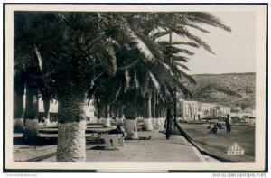 ARZEW / ARZEU_n°7_Avenue de la Marine