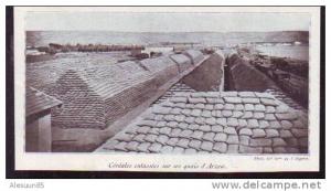 Q.246  /    1930  --  ALGERIE  --  CEREALES ENTASSEES SUR LES QUAIS D ARZEW
