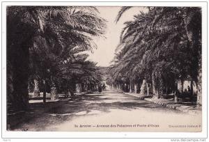50 ARZEW - AVENUE DES PALMIERS ET PORTE D'ORAN - CPM NEUVE VOIR SCANS