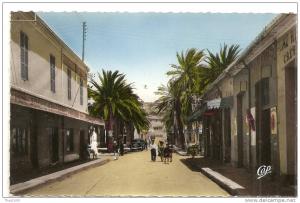 Algérie. Arzew. La rue principale (775)