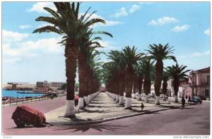 CPSM   ARZEW (oran)  (algérie)   Allée des palmiers et Ave Général Leclerc (N°717) en 1960.(7973)