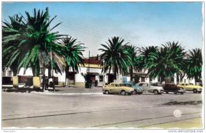 CPSM ARZEW (Algérie) - L´esplanade