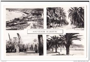 SOUVENIR D ARZEW MULTIVUES PLIURE MILIEU