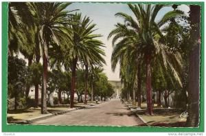 cpsm  ALGERIE  -  ARZEW  -  Entrée  de la Ville     ...  AT10