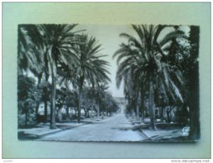 CPSM DE ARZEW  Entrée de la Ville