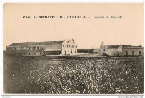 cpa bon état , oran , vieille ville arzew ,cave vinicole  cave coopérative de saint-leu , ensemble   batiments