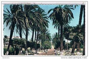 ARZEW  LA  ROUTE  D'ORAN     TAMPON  MILITAIRE  A.F.N.       CPSM TBE  1W980