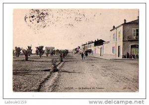 ARZEW   Le Boulevard des Palmiers   - ND Photo N° 9