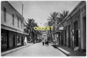 Algérie, cpsm Arzew, la Rue Principale, animée, commerces, vieille limousine....