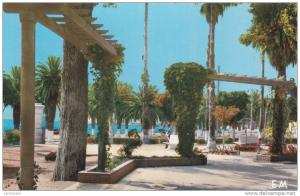 Algérie  Arzew  Jardin public    Années 50