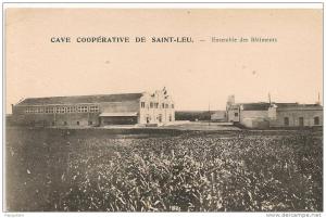 cpa tres propre , région d´oran , ancienne ville d´arzew , cave vinicole , coopérative de saint-leu , pas courante