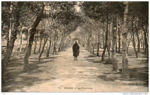 Algérie (Oran) ARZEW - La Pépinière ( animation, Collection Idéale P-S n°13)  *PRIX FIXE