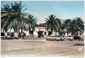 ALGERIE - ARZEW - L'Esplanade