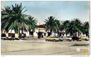 ALGERIE  ARZEW  L'Esplanade  ..... ( Ref FA674 )