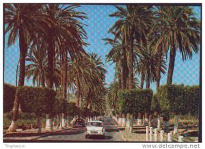 ALGERIE-ARZEW-ENTREE DE LA VILLE ( animée par des vehicules 404 et 403 peugeot...