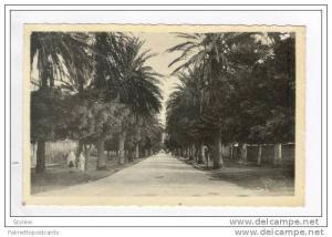 RP  ARZEW (Oran) - Avenue des Palmiers 20-40s