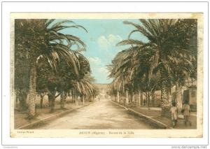 ARZEW entrée de la ville edit albert 1930