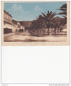 Algérie Arzew Avenue de La plage