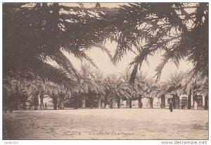 EE 168/ C P A  - ALGERIE -  ARZEW  -  LA PLACE