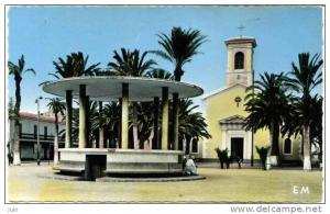 ALGERIE - cpsm -  ARZEW - La  Place de l'Eglise