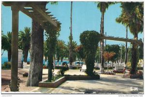 CPSM Arzew Arzeu Wilaya Oran Algérie Le Jardin Public Editions Combi