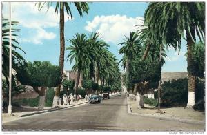 CPSM Arzew Arzeu Wilaya Oran Algérie Avenue de la Liberté Editions Jaseber