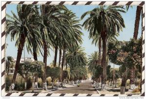 U970 ARZEW LA ROUTE D´ORAN 1962