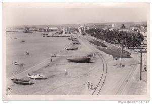 cpa Réf-JP-666 ( Algérie )  L´ Avenue des Palmiers et la Base Navale de  ARZEW