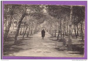 ALGERIE -ARZEW - Promeneur dans la Pépinière - oblitérée en 1923