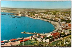 Arzew- Vue générale du port- Ed Combi n°57  - Belle carte plate, bords nets-