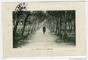 ALGERIE  ARZEW  LA PEPINIERE