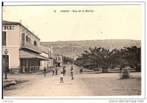 ARZEW   ----RUE  DE  LA  MARINE
